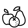 ICONO05